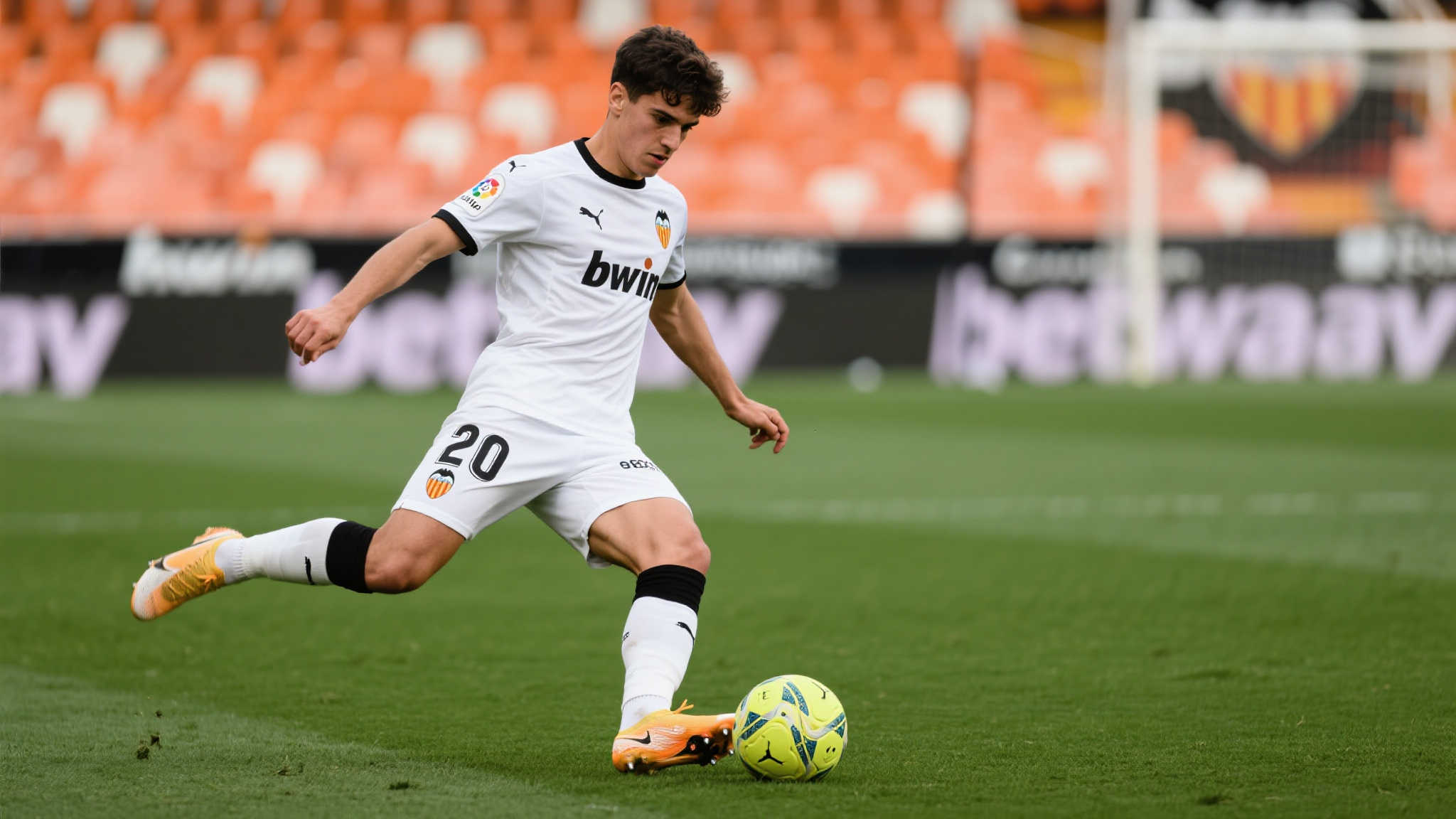 其中发挥了 其中发挥了